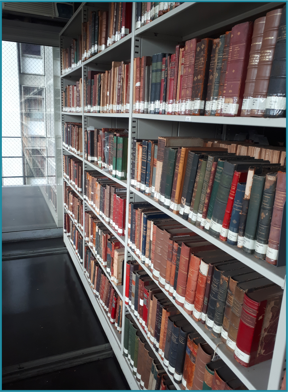 Rede Sirius - Rede de Bibliotecas UERJ, Rio de Janeiro RJ